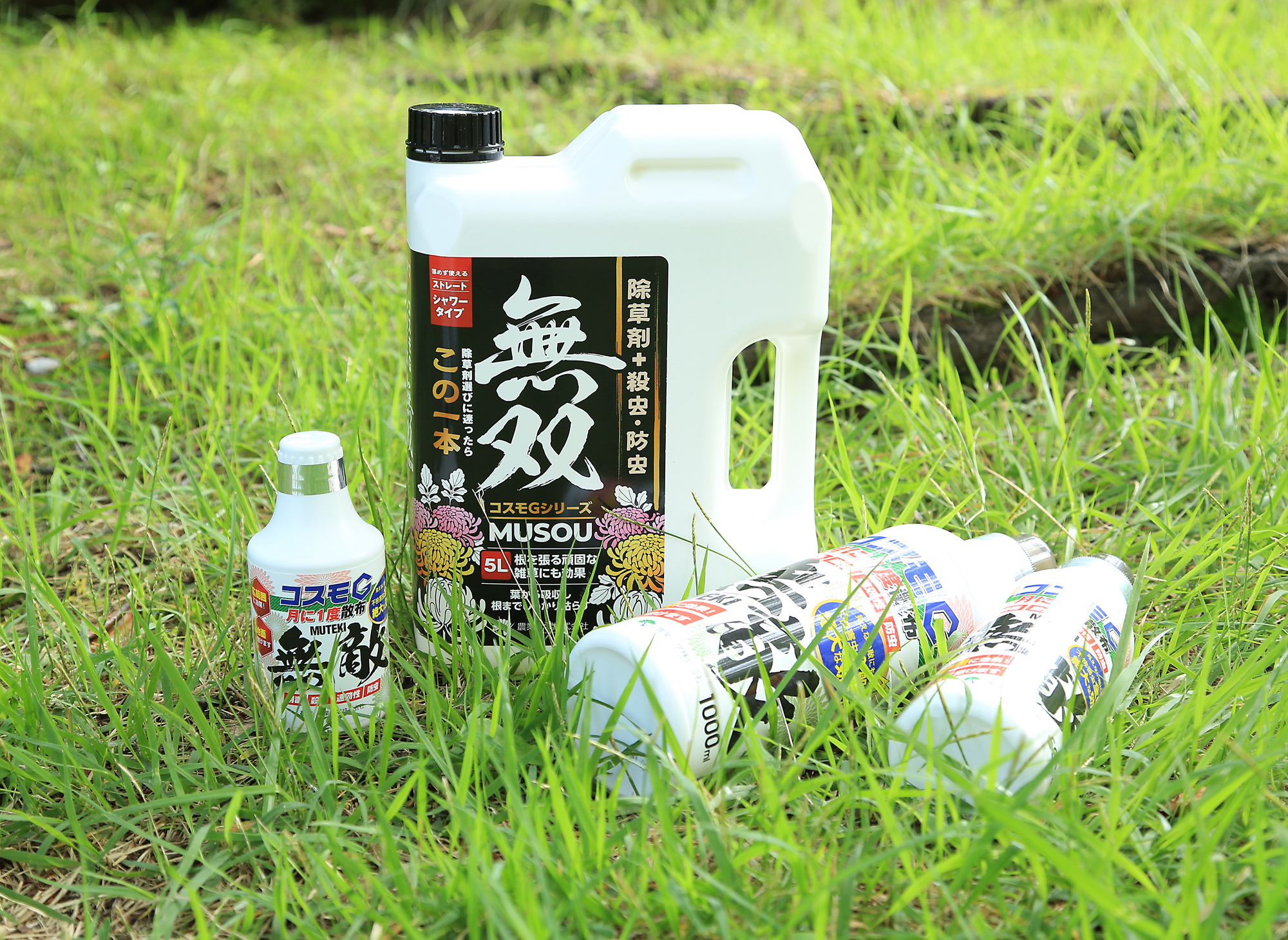 願いであり
目指すもの。