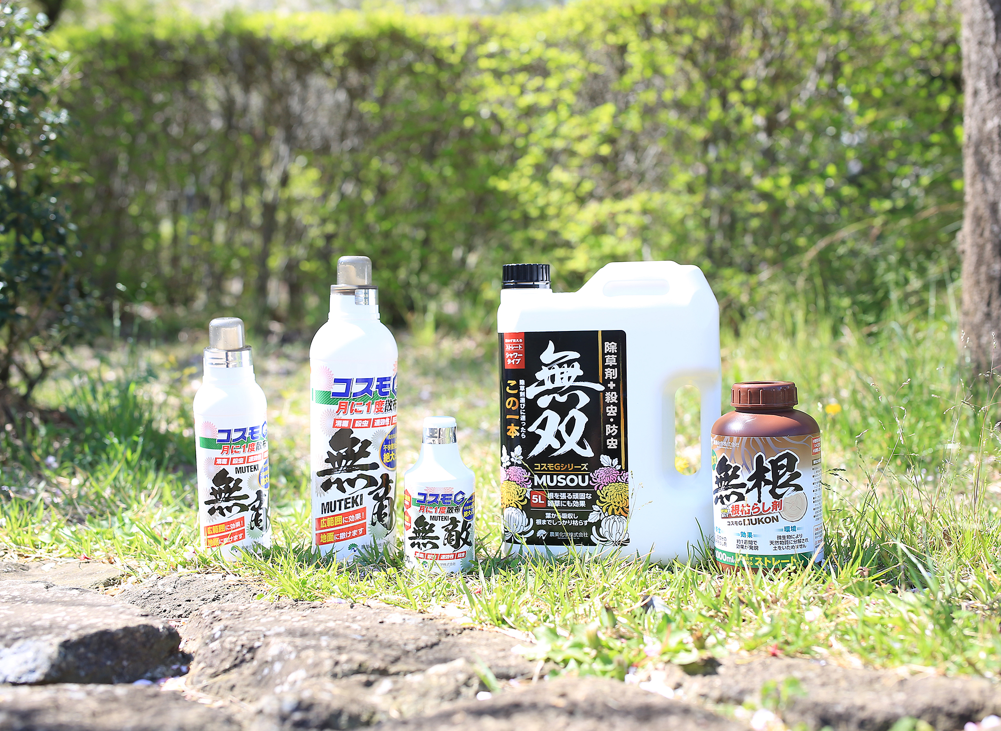 願いであり
目指すもの。